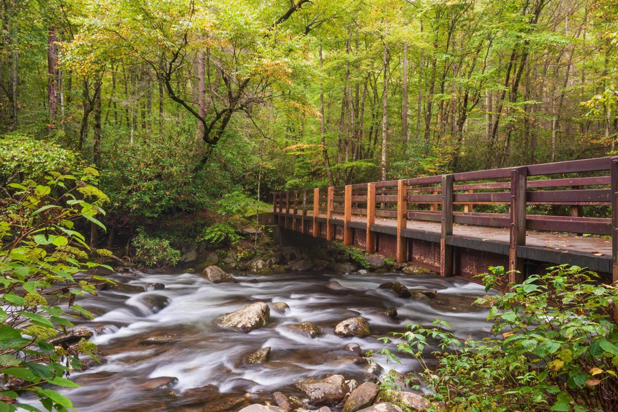 Moonshine Chalet, Hot Tub, Pool Access, Wifi, 1089 Free Tickets Each Paid Day, Dollywood And More Gatlinburg Luaran gambar